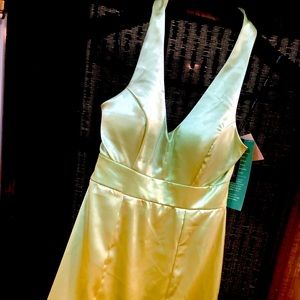 Brand New, never worn, light green dress